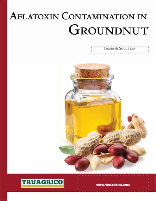 ground-large ground-large